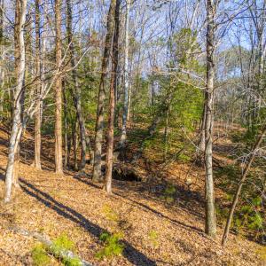 Pickett Lane Lot 21-7