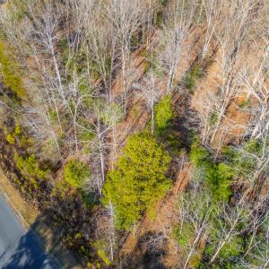 Pickett Lane Lot 21-8