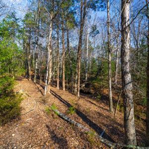 Pickett Lane Lot 21-12