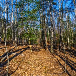 Pickett Lane Lot 21-13