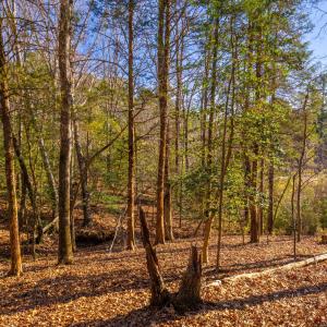 Pickett Lane Lot 21-15