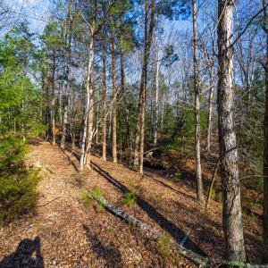 Pickett Lane Lot 21-11