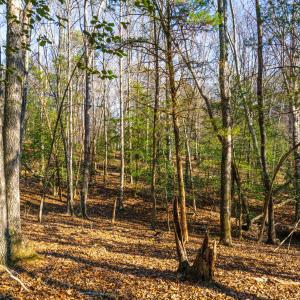 Pickett Lane Lot 21-16