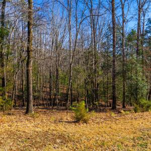 Pickett Lane Lot 21-17