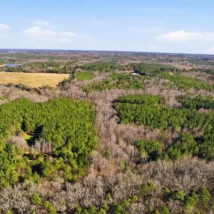 8-print-008_DJI_0752