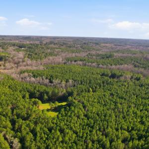 7-print-007_DJI_0748