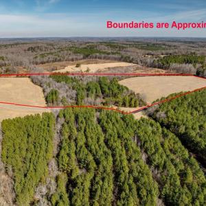 01-001-Chatham-Parcel-72586-MarkWilletRd