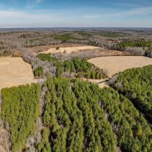 02-002-Chatham-Parcel-72586-MarkWilletRd