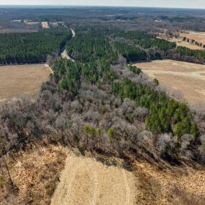 19-019-Chatham-Parcel-72586-MarkWilletRd