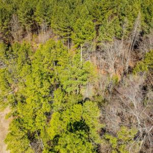 27-027-Chatham-Parcel-72586-MarkWilletRd