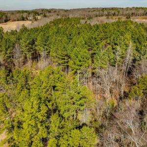 28-028-Chatham-Parcel-72586-MarkWilletRd