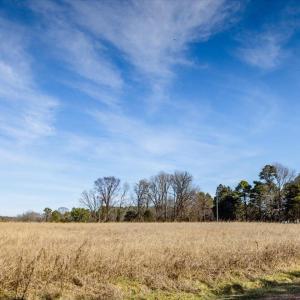 36-036-Chatham-Parcel-72586-MarkWilletRd