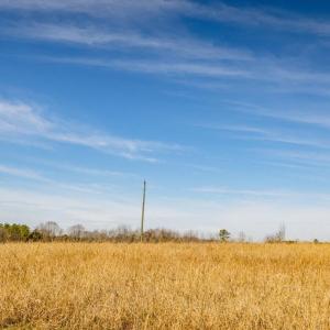 37-037-Chatham-Parcel-72586-MarkWilletRd