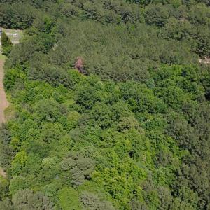 DJI_0886