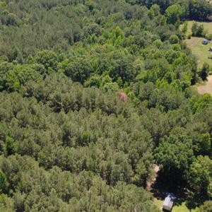 DJI_0885
