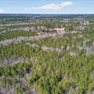 02-DJI_20260209123231_0826_D