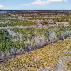 03-DJI_20260209123255_0834_D