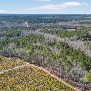 05-DJI_20260209123343_0841_D