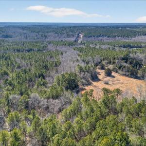 06-DJI_20260209123406_0848_D