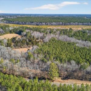 11-DJI_20260209123034_0807_D