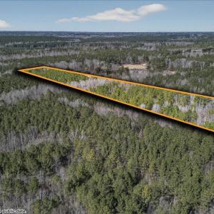 15-DJI_20260209123231_0826_Dpl