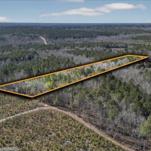 17-DJI_20260209123343_0841_Dpl