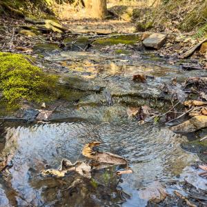 Person Co. NC 69.03-17