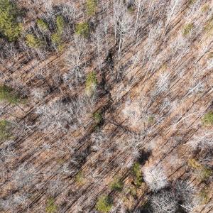 Person Co. NC 69.03-20