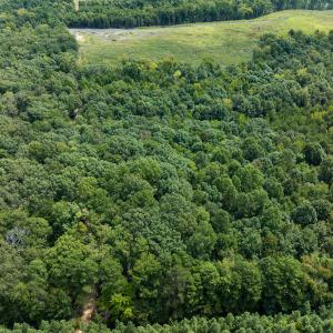 Person Co. NC 69.03-31