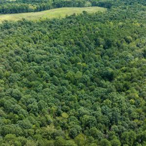 Person Co. NC 69.03-48