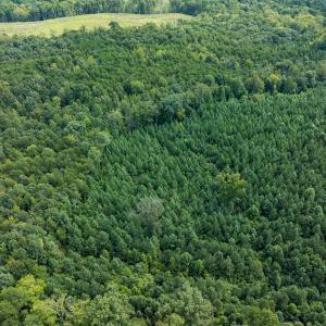 Person Co. NC 69.03-50