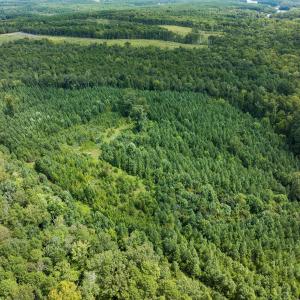 Person Co. NC 69.03-58