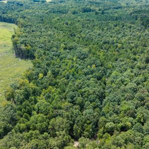 Person Co. NC 69.03-24