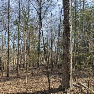 Person Co. NC 69.03-32