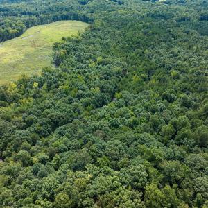 Person Co. NC 69.03-42