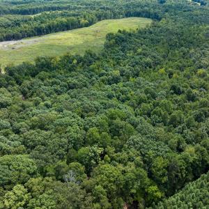 Person Co. NC 69.03-46