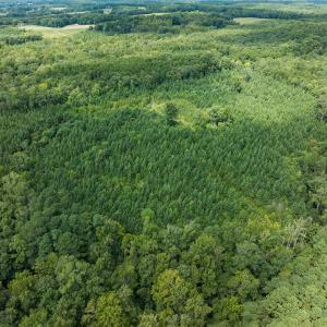 Person Co. NC 69.03-62