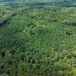 Person Co. NC 69.03-64