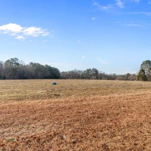 12-web-or-mls-DSC03466