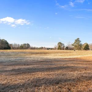 13-web-or-mls-DSC03467