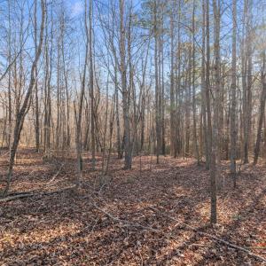 15-web-or-mls-DSC03470