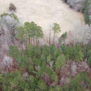 20241209183130281628000000-o