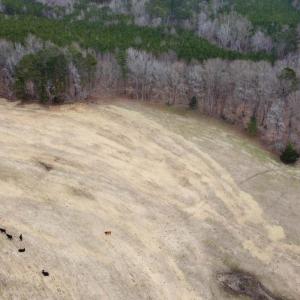 20241209183125596677000000-o