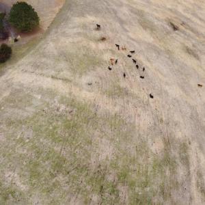 20241209183124682196000000-o