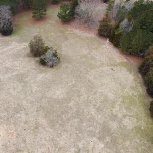 20241209183123649230000000-o