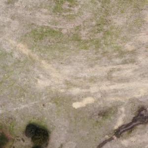 20241209183121359159000000-o