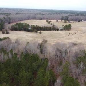 20241209183120361605000000-o