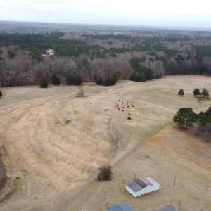 20241209183119078116000000-o