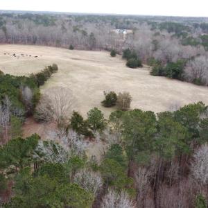 20241209183116272529000000-o