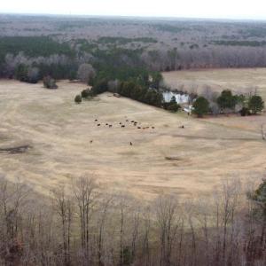 20241209183114306076000000-o